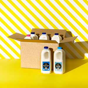 SA Budget Milk Box
