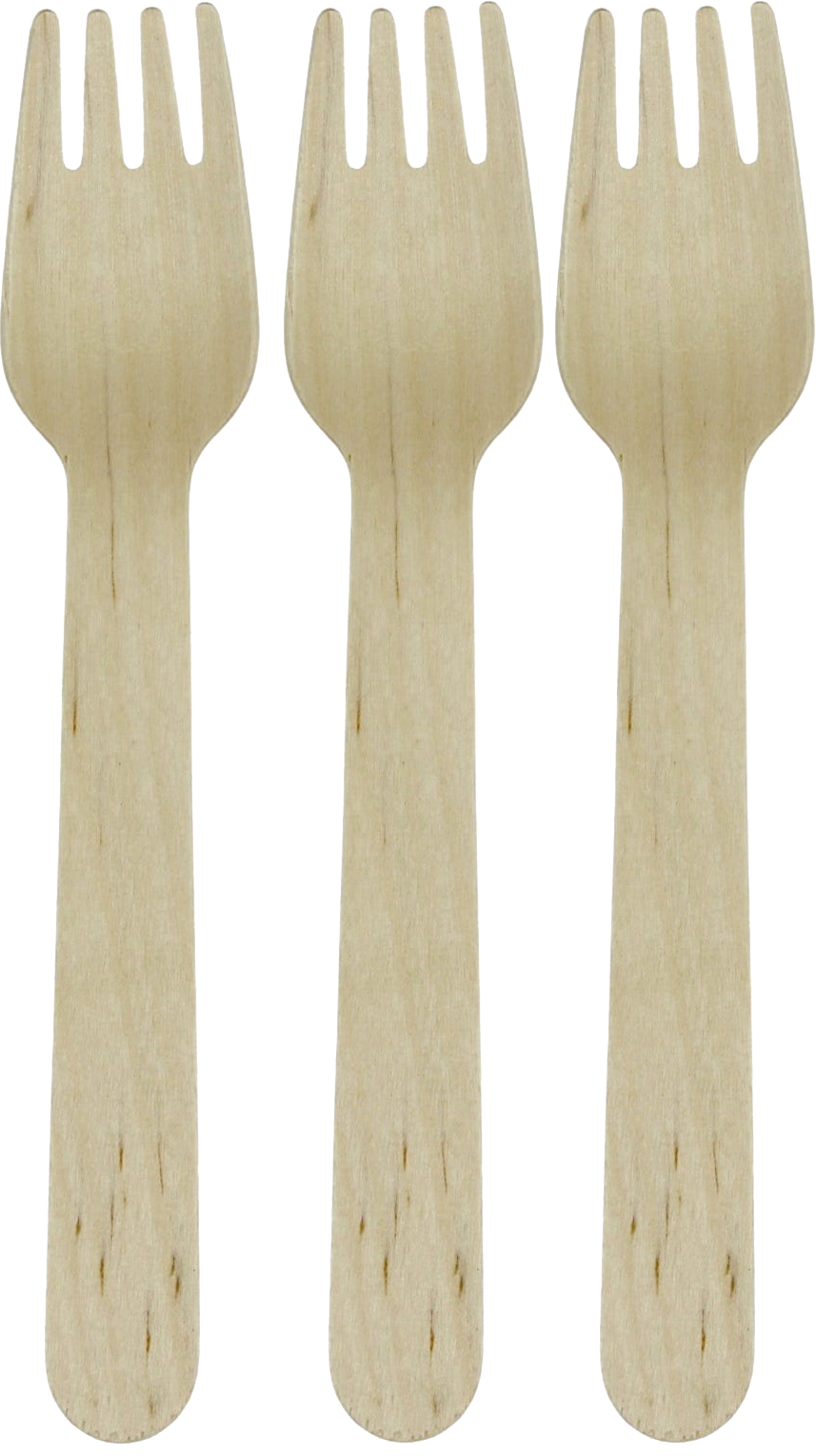 Entertain By Eco Wooden Fork 160mm 12 Pack (4hr Express)